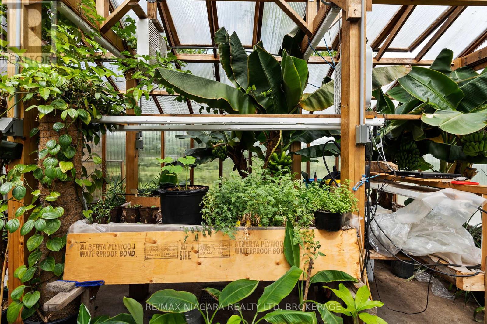 63023 Perry Road, Wainfleet, Ontario  L0R 2J0 - Photo 44 - X12378742