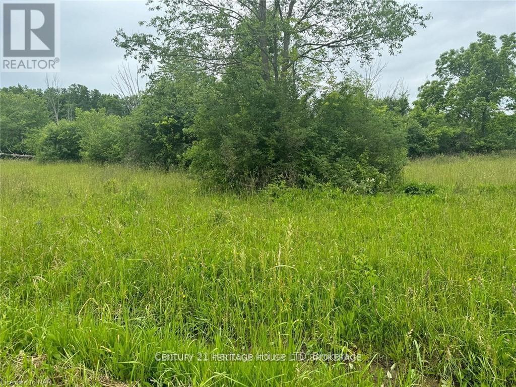 Vl Rosehill Road, Fort Erie, Ontario  L2A 5M4 - Photo 2 - X12381893