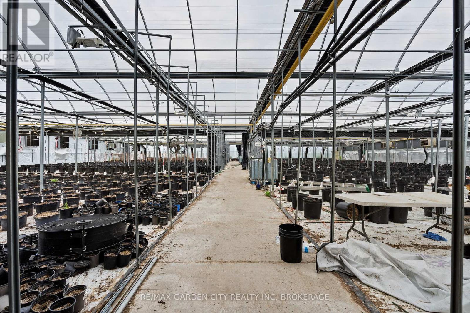 Greenhouse - 53825 Zion Road, Wainfleet, Ontario  L0S 1V0 - Photo 16 - X12391483