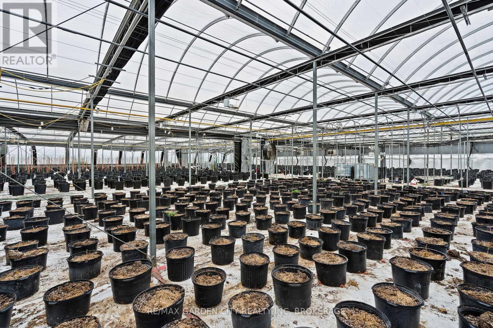 Greenhouse - 53825 Zion Road, Wainfleet, Ontario  L0S 1V0 - Photo 18 - X12391483