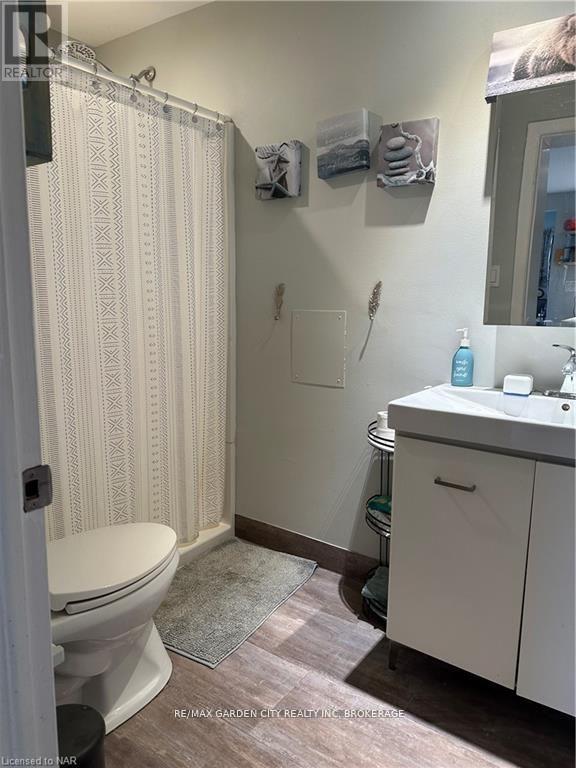 158a Lake Street, St. Catharines, Ontario  L2R 5Y7 - Photo 8 - X12416036