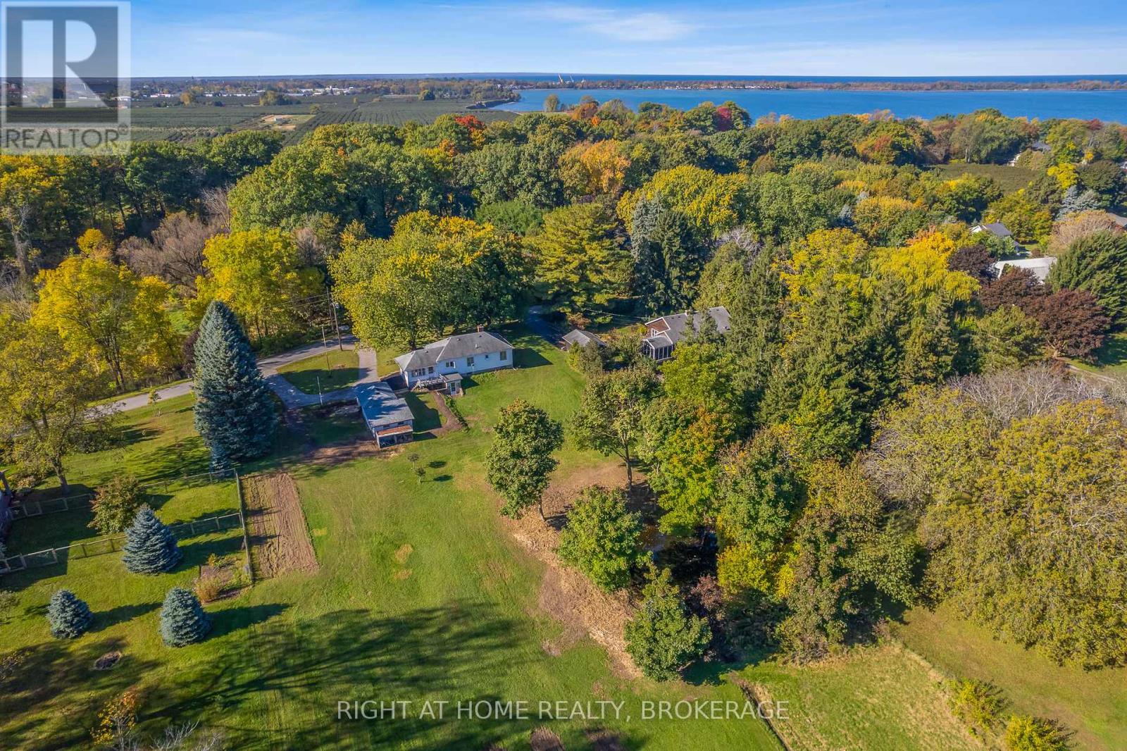 1353 Mcnab Road, Niagara-On-The-Lake, Ontario  L0S 1J0 - Photo 10 - X12423419