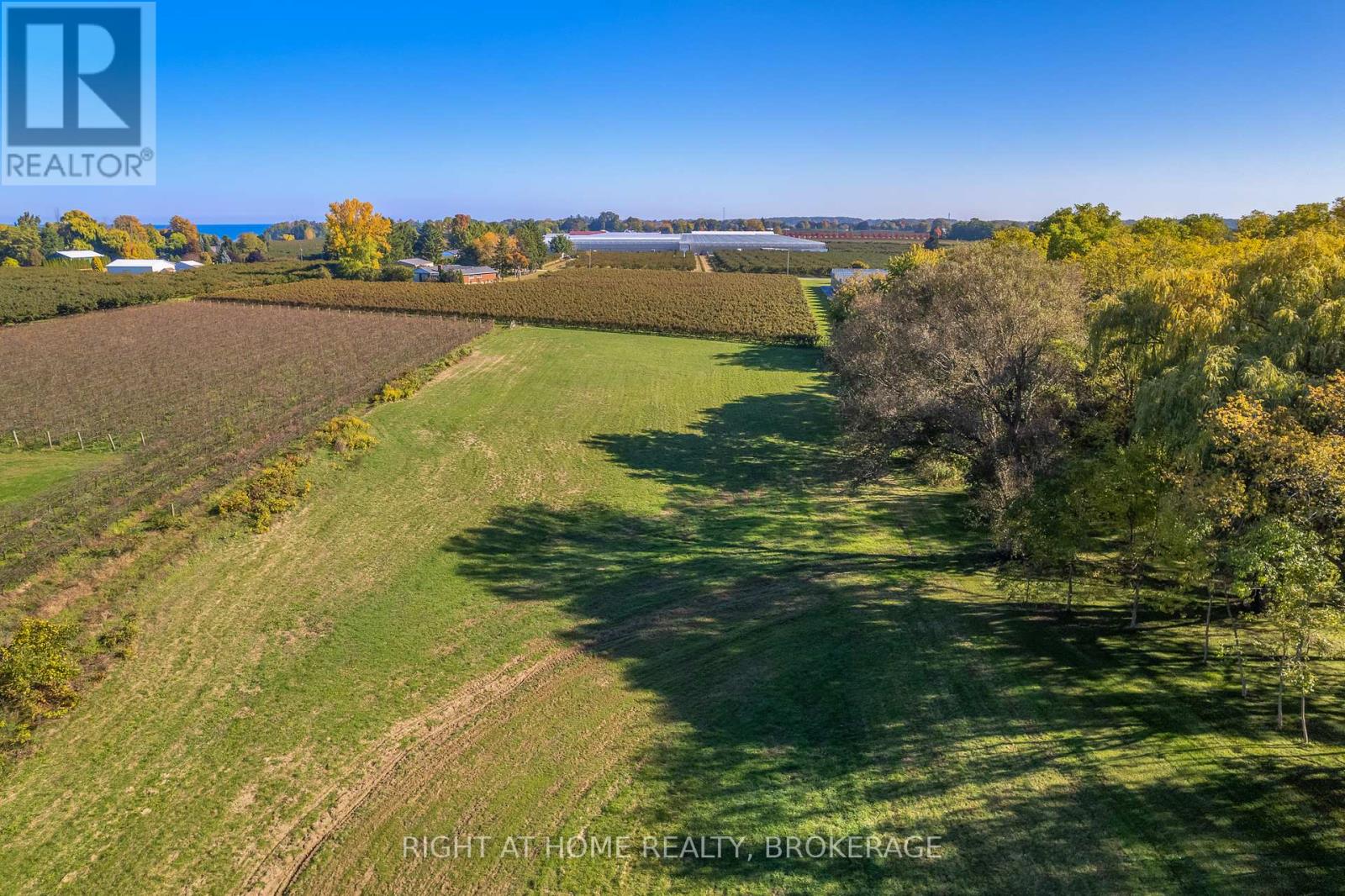 1353 Mcnab Road, Niagara-On-The-Lake, Ontario  L0S 1J0 - Photo 11 - X12423419