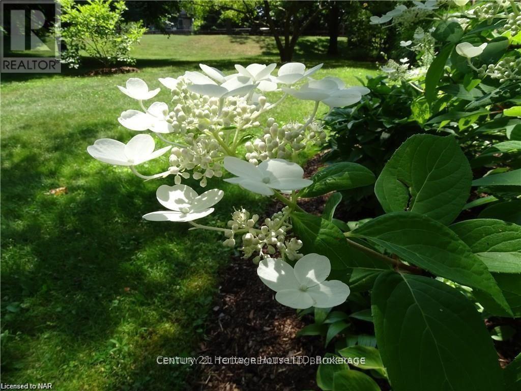 103b - 200 Hwy 20 W Road, Pelham, Ontario  L3E 0V7 - Photo 39 - X12427996