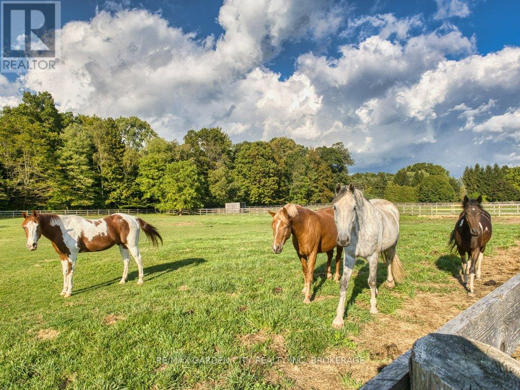 503 Metler Road, Pelham, Ontario  L0S 1M0 - Photo 19 - X12434646
