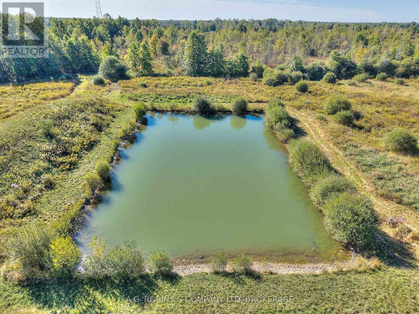 14440 Mckenney Road, Niagara Falls, Ontario  L3B 5N7 - Photo 16 - X12438218