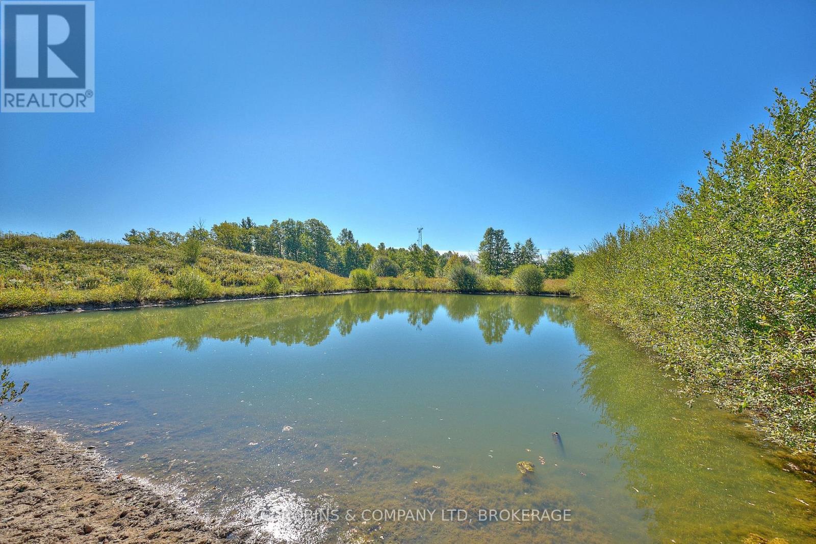 14440 Mckenney Road, Niagara Falls, Ontario  L3B 5N7 - Photo 5 - X12438218