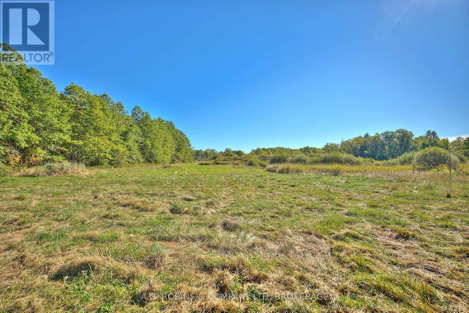 14440 Mckenney Road, Niagara Falls, Ontario  L3B 5N7 - Photo 9 - X12438218