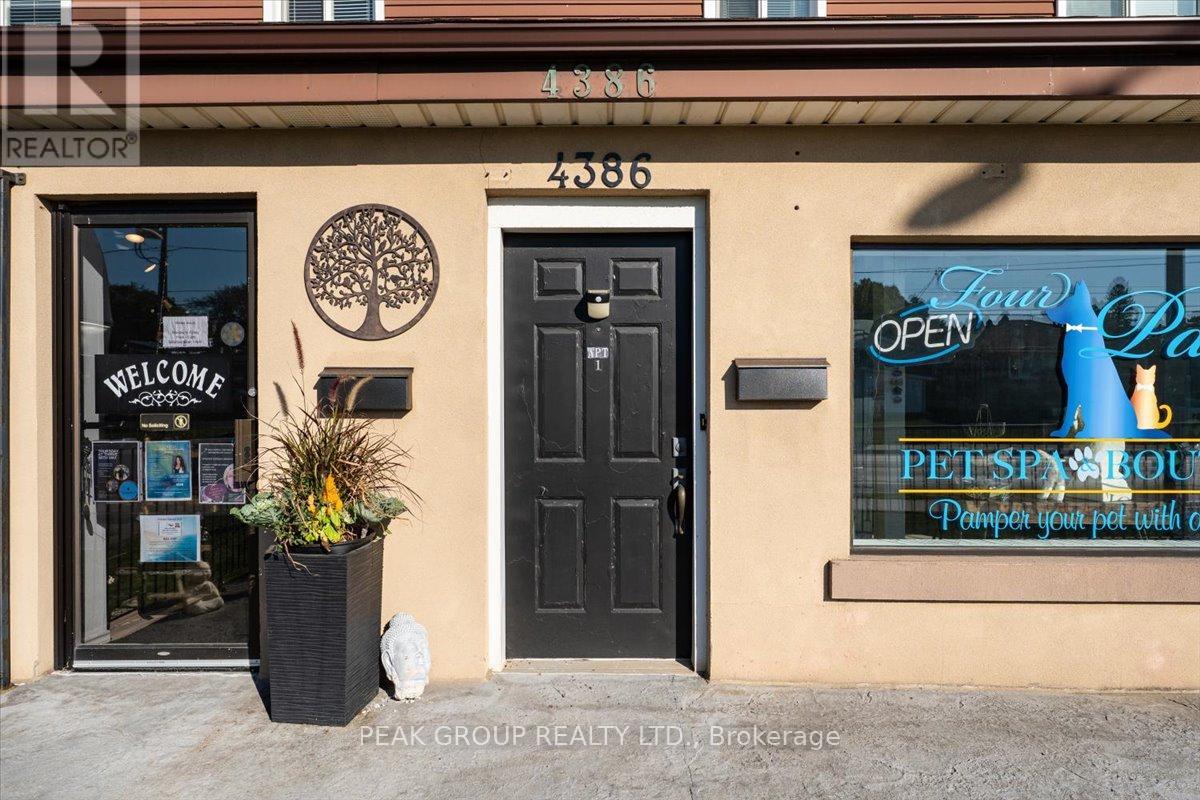 4386 Drummond Road, Niagara Falls, Ontario  L2E 6C3 - Photo 20 - X12438663