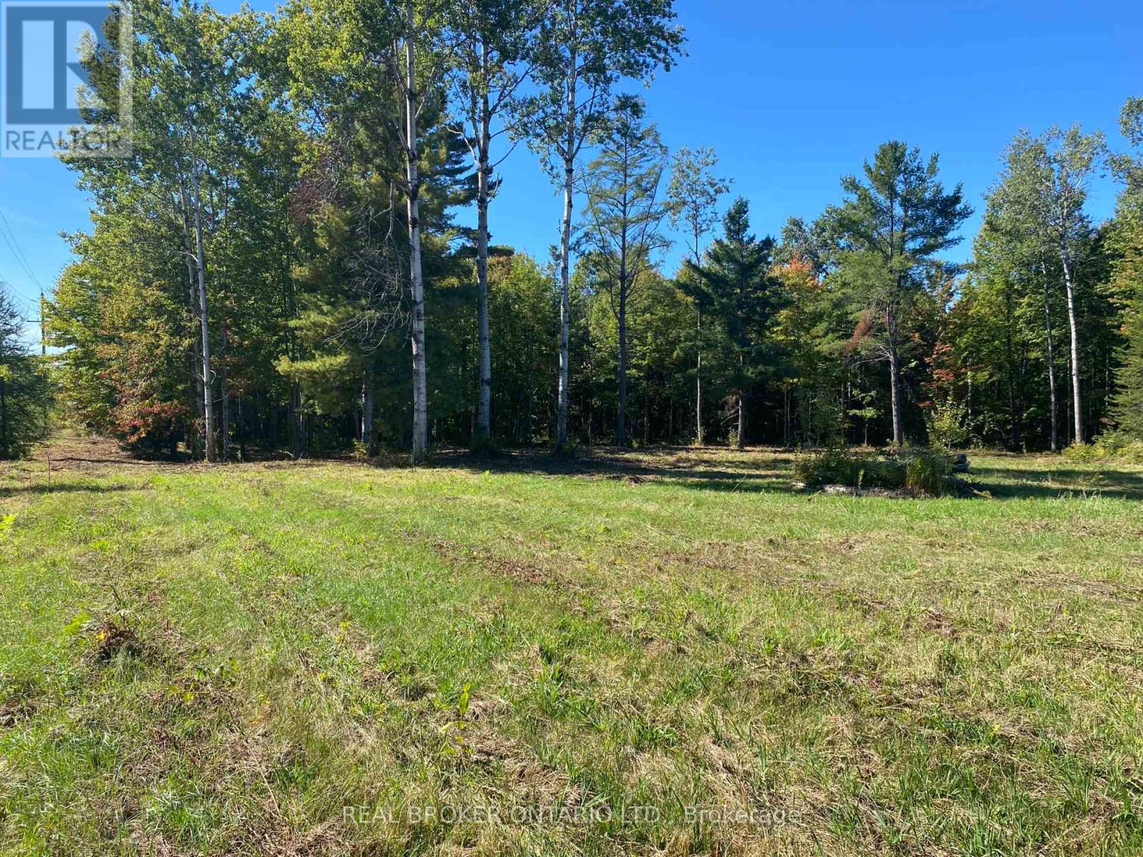 1248 Beiers Road, Gravenhurst, Ontario  P0E 1G0 - Photo 2 - X12442164