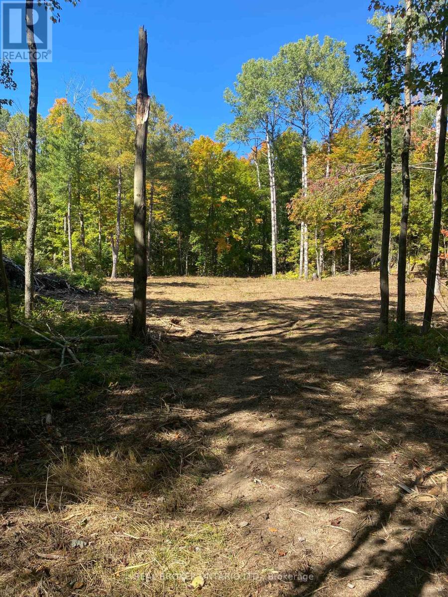 1248 Beiers Road, Gravenhurst, Ontario  P0E 1G0 - Photo 3 - X12442164