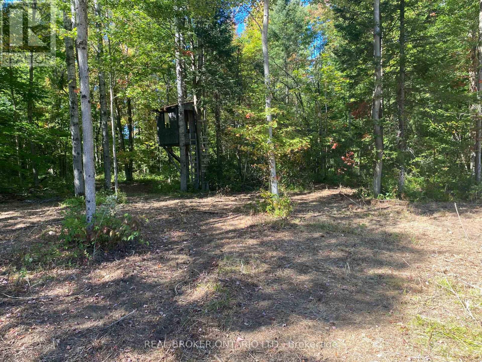 1248 Beiers Road, Gravenhurst, Ontario  P0E 1G0 - Photo 4 - X12442164