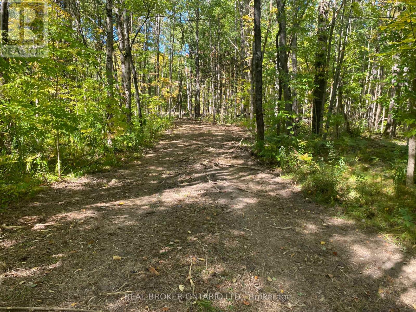 1248 Beiers Road, Gravenhurst, Ontario  P0E 1G0 - Photo 5 - X12442164