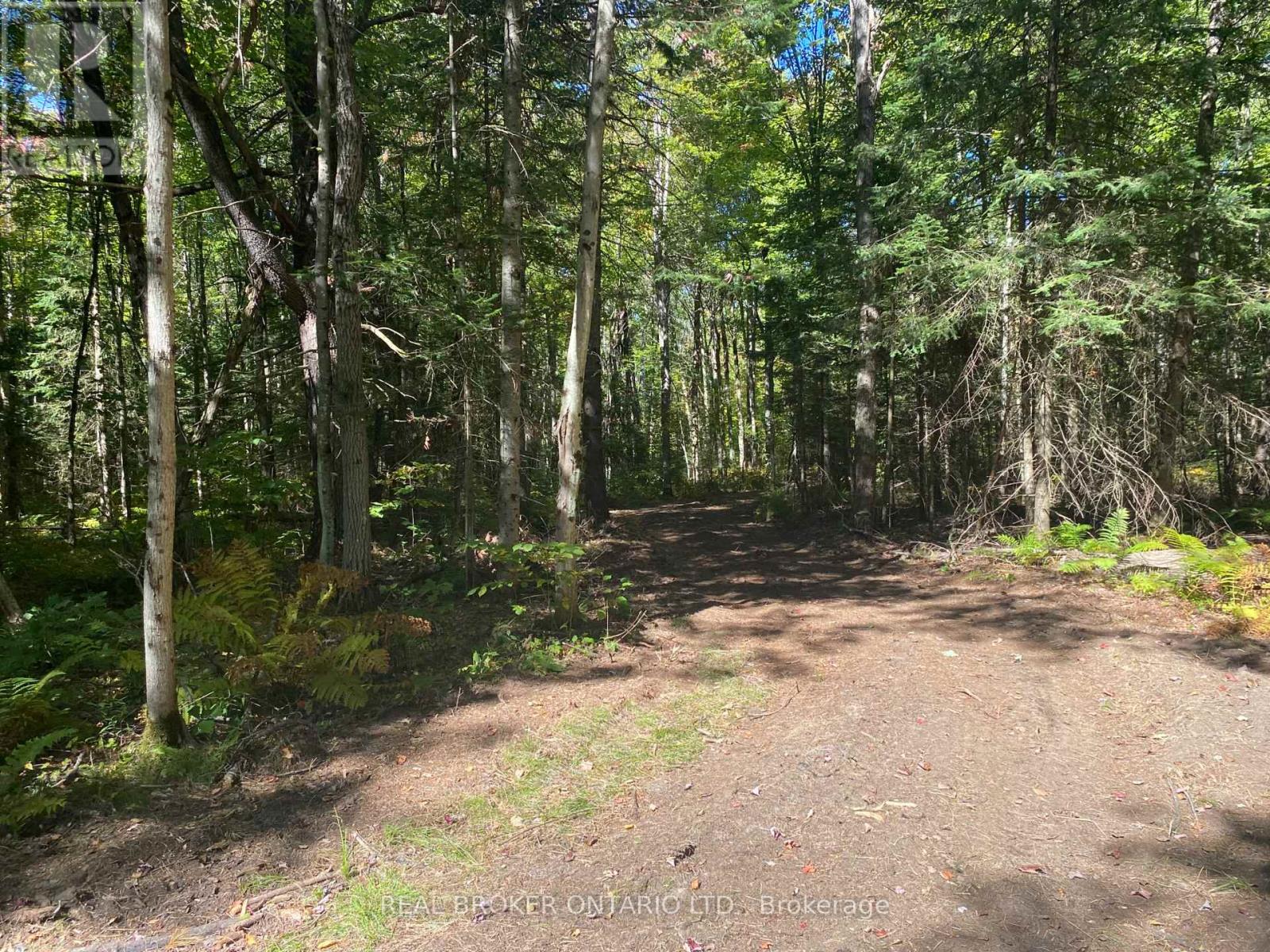 1248 Beiers Road, Gravenhurst, Ontario  P0E 1G0 - Photo 6 - X12442164