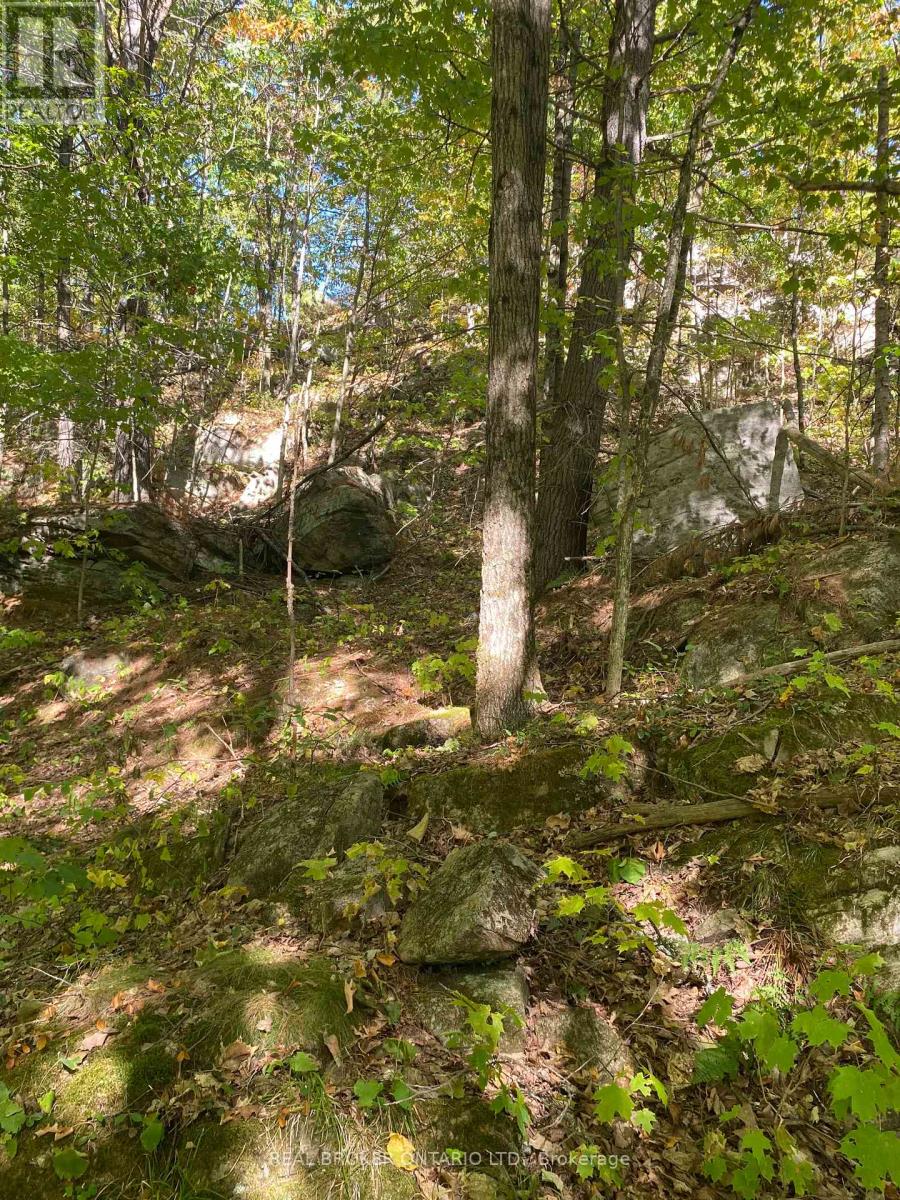 1248 Beiers Road, Gravenhurst, Ontario  P0E 1G0 - Photo 8 - X12442164