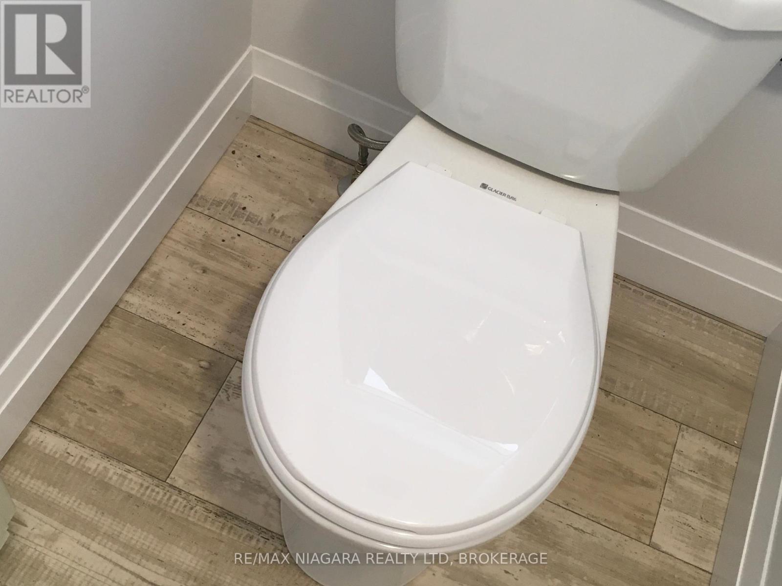 163 Welland Avenue, St. Catharines, Ontario  L2R 2N9 - Photo 16 - X12455533