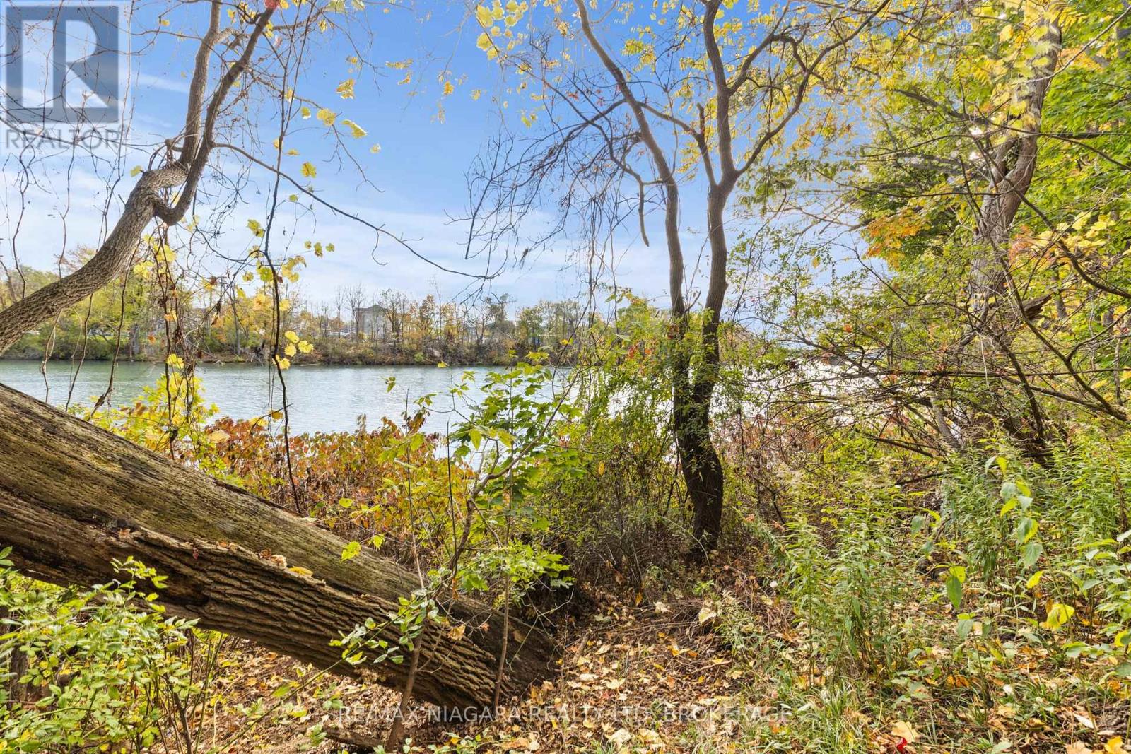 87 Fitch Street, Welland, Ontario  L3C 4V3 - Photo 42 - X12473584