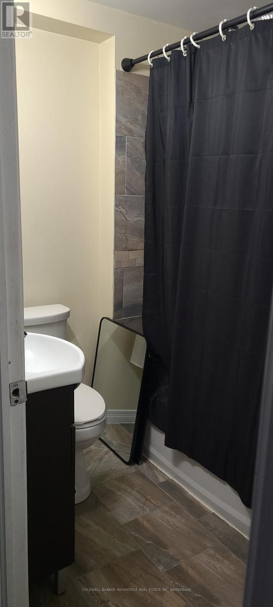 14 Albert Street, Welland, Ontario  L3B 4L2 - Photo 19 - X12482878