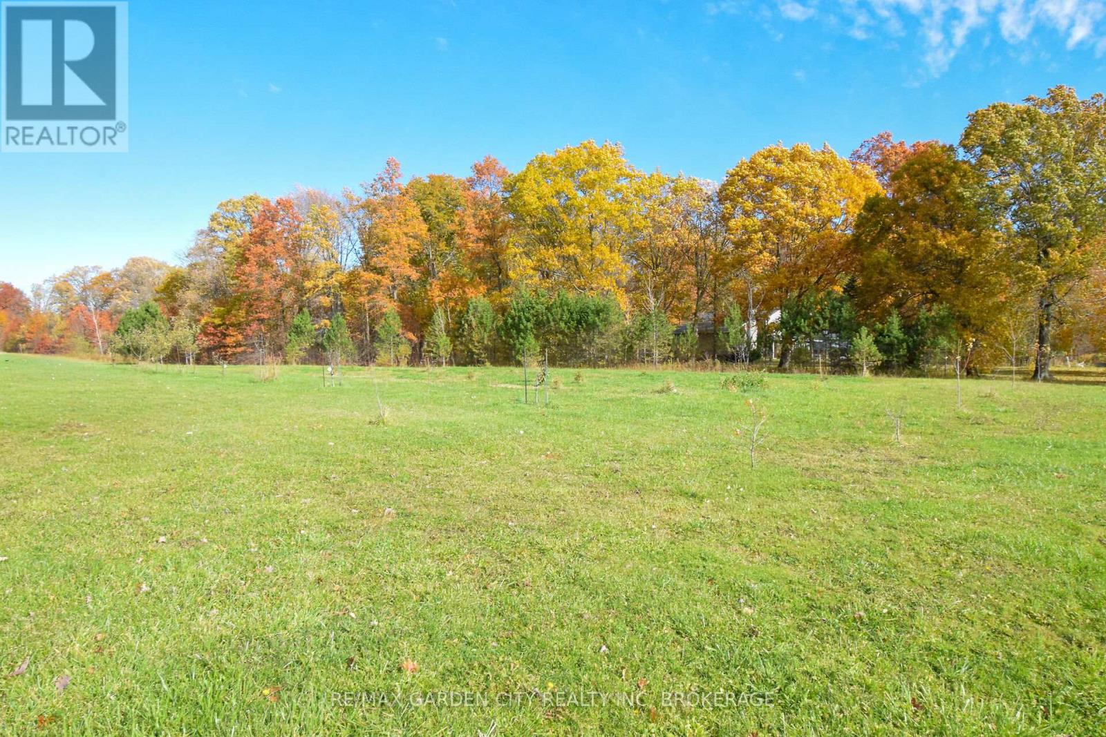 9735 Carl Road, Niagara Falls, Ontario  L0S 1K0 - Photo 34 - X12516390