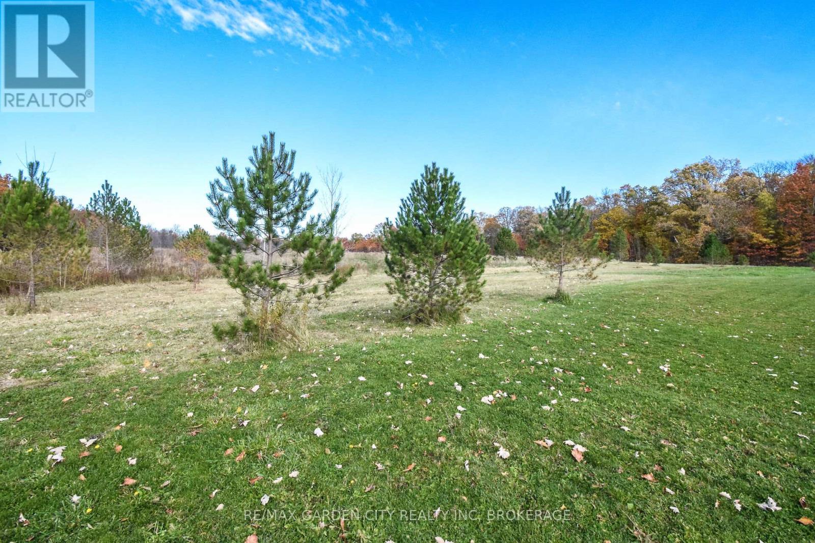 9735 Carl Road, Niagara Falls, Ontario  L0S 1K0 - Photo 36 - X12516390