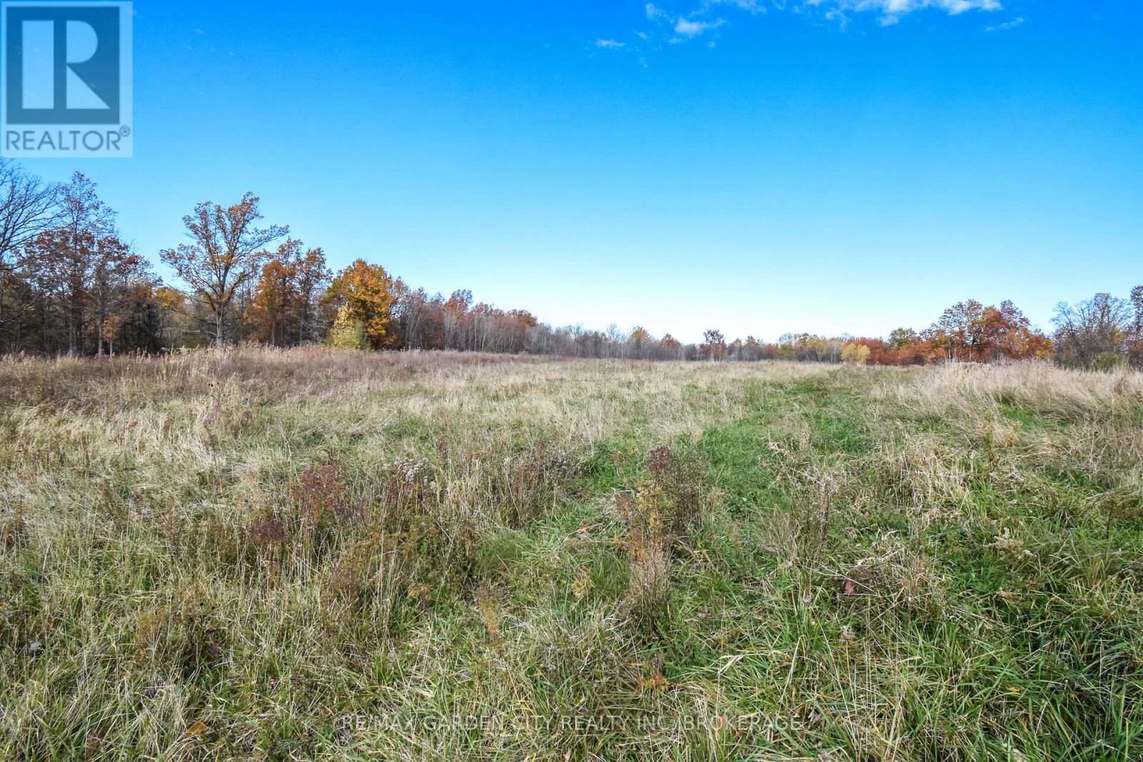 9735 Carl Road, Niagara Falls, Ontario  L0S 1K0 - Photo 37 - X12516390