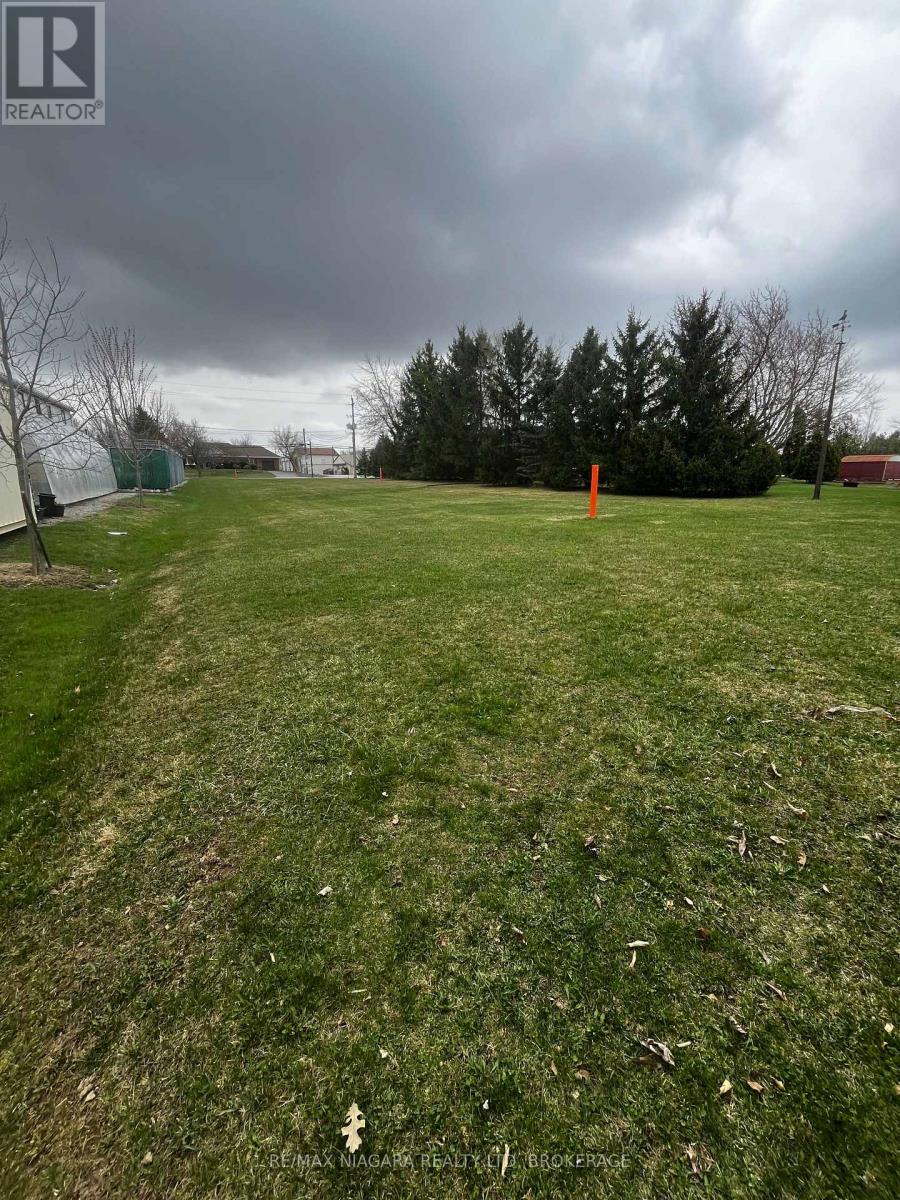 2450 Hwy 56 Road, Hamilton, Ontario  L0R 1C0 - Photo 6 - X12575110