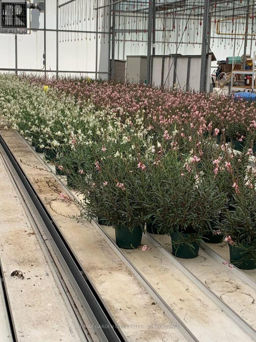 430 Concession 7 Road, Niagara-On-The-Lake, Ontario  L0S 1S0 - Photo 10 - X12627744