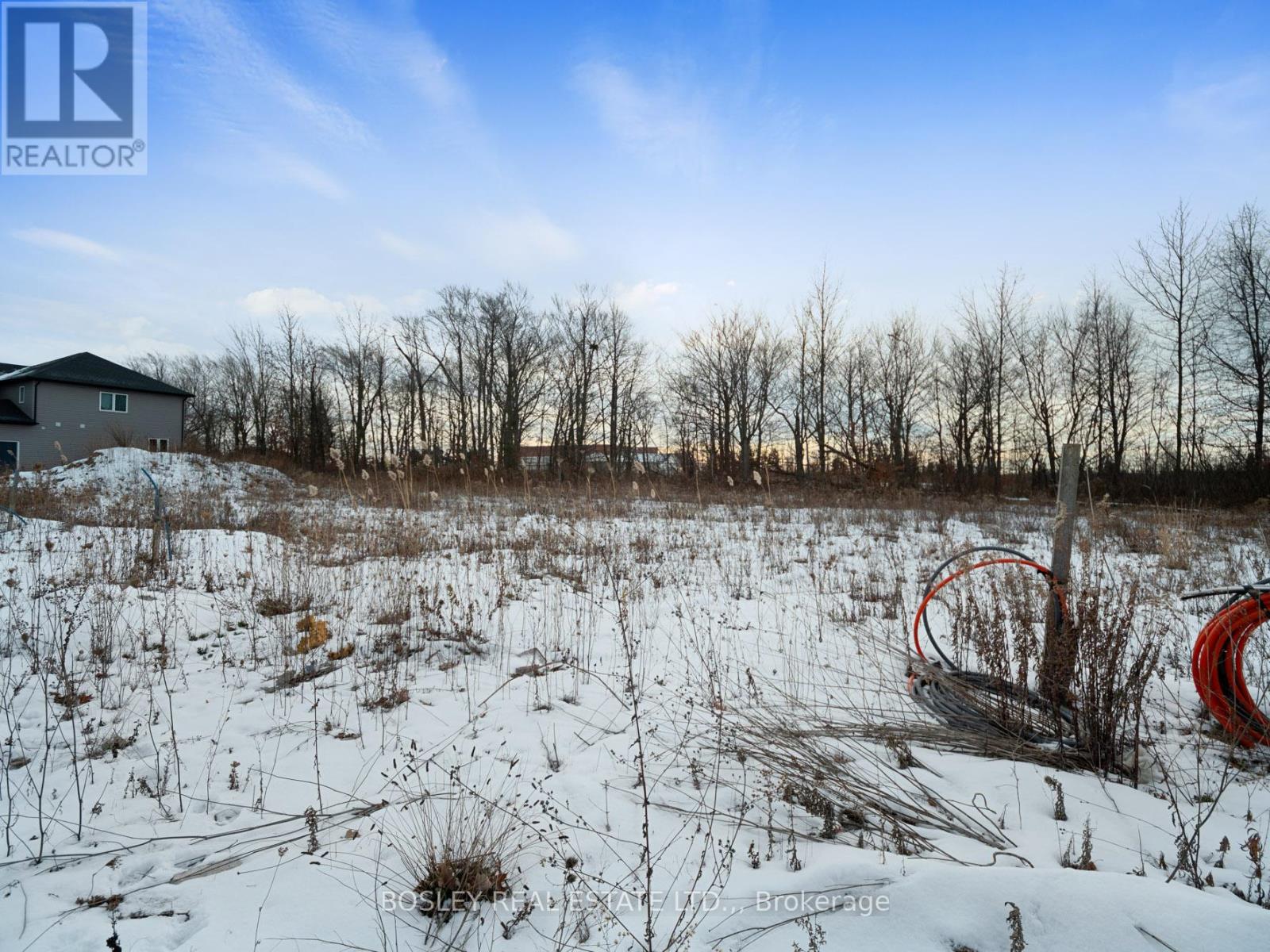 172 Hodgkins Avenue, Thorold, Ontario  L2V 0M6 - Photo 5 - X12631334