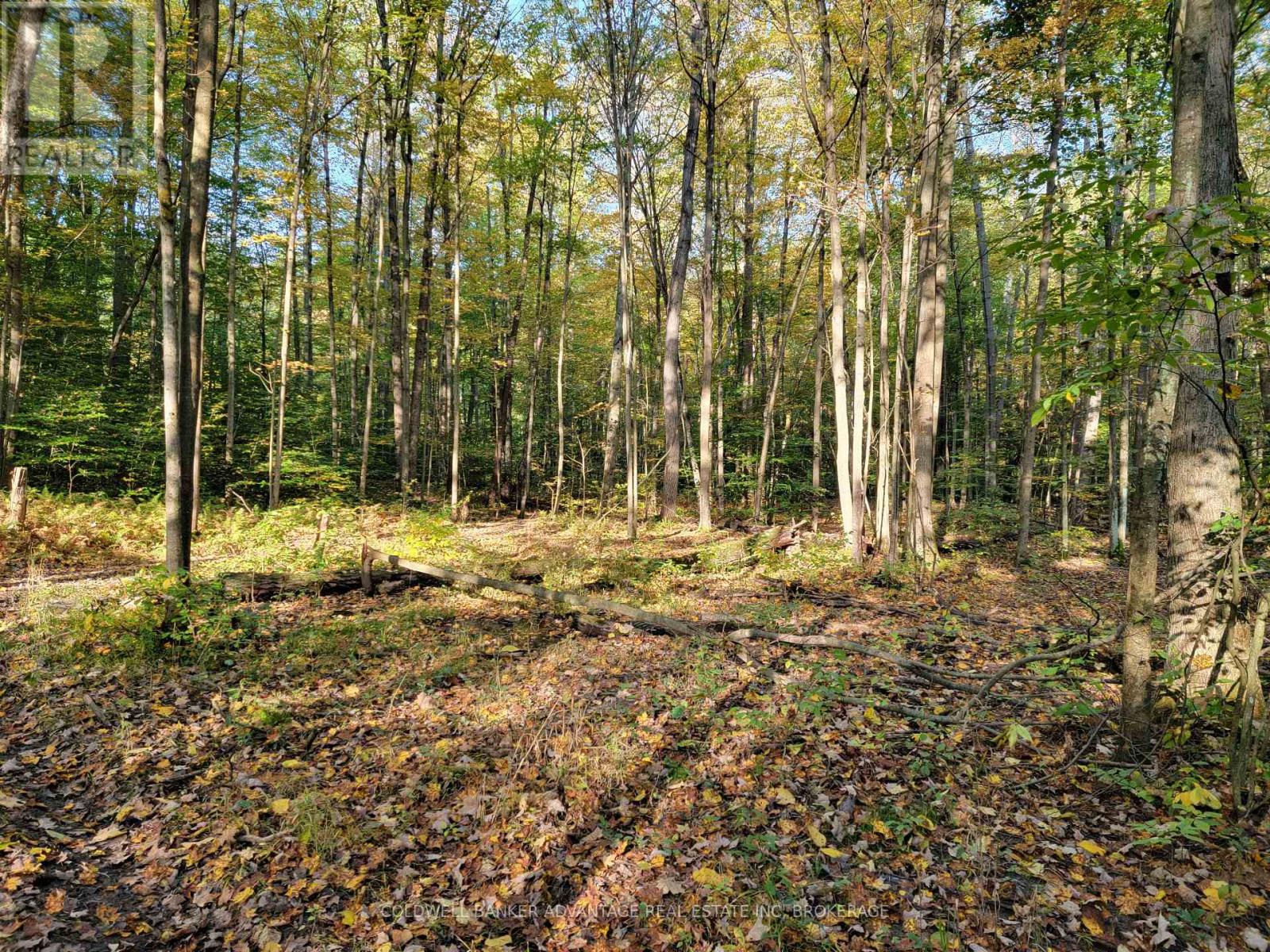 154&155 Lot, Thorold, Ontario  L0S 1E6 - Photo 11 - X12672432