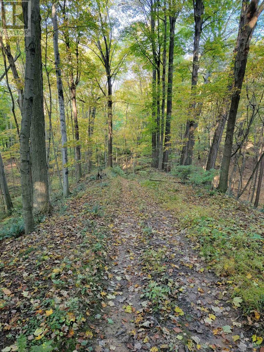 154&155 Lot, Thorold, Ontario  L0S 1E6 - Photo 9 - X12672432