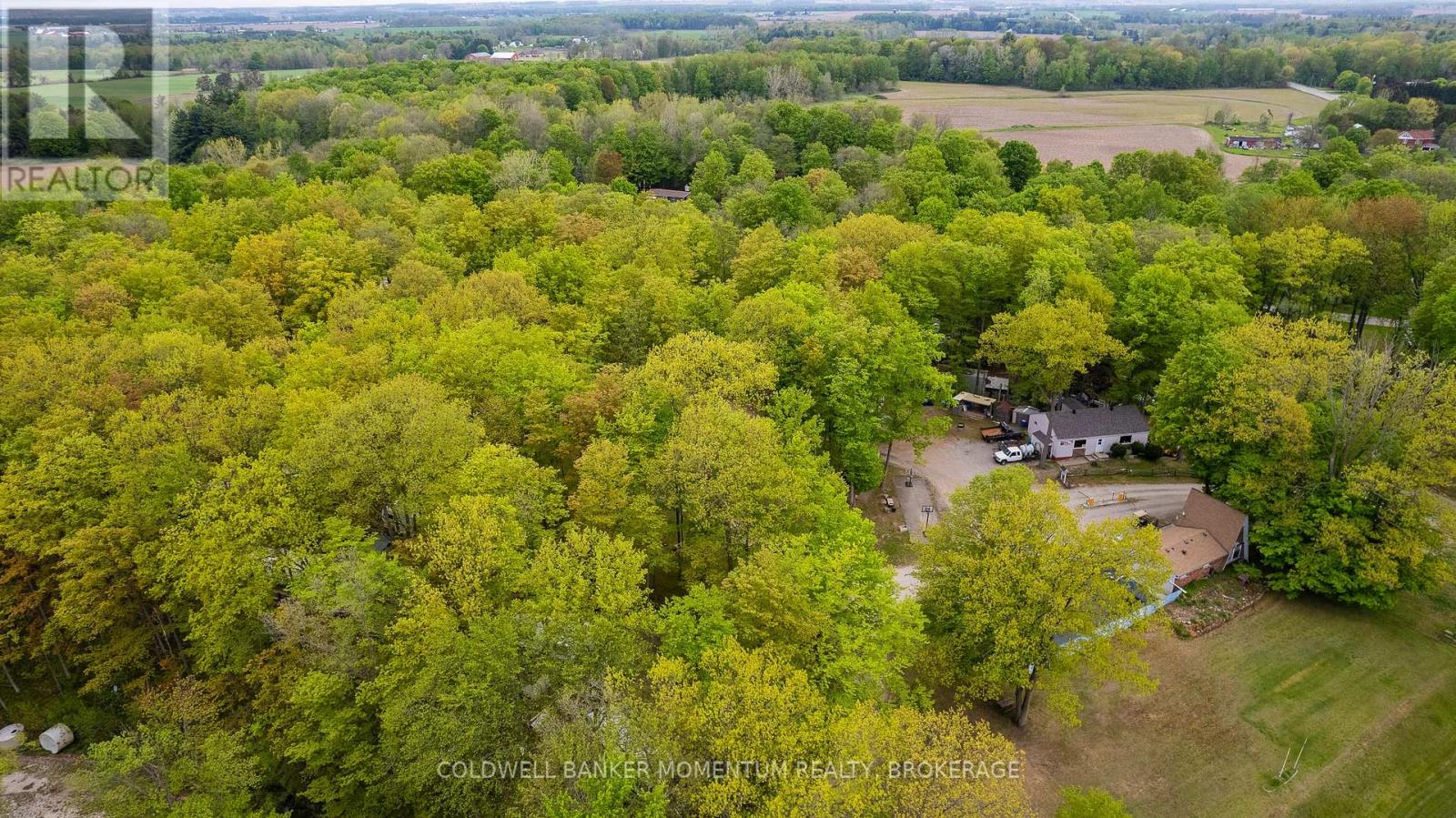 54428 Talbot Line, Bayham, Ontario  N0J 1H0 - Photo 9 - X12672880