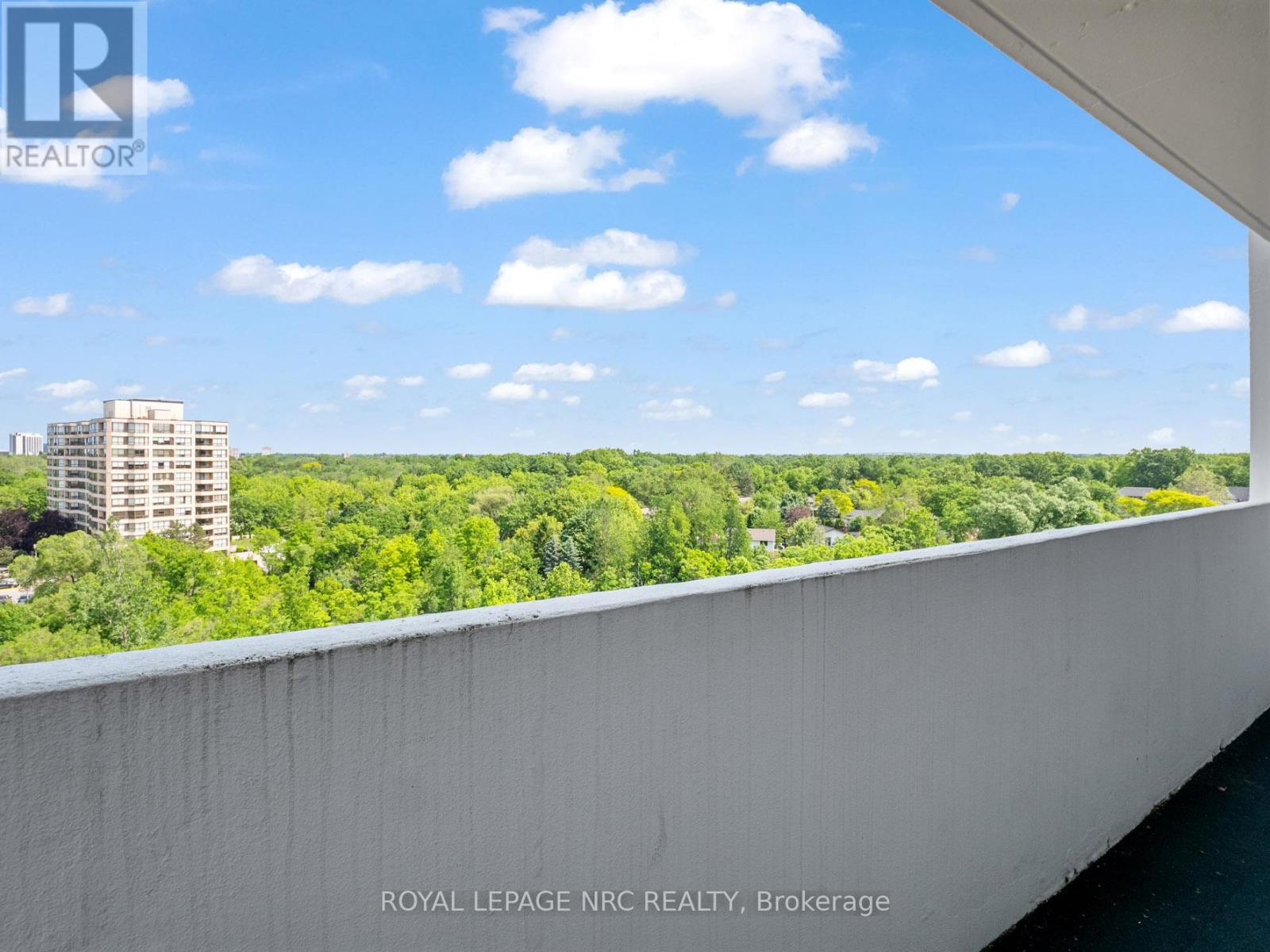 904 - 15 Towering Heights Boulevard, St. Catharines, Ontario  L2T 3G7 - Photo 19 - X12673196