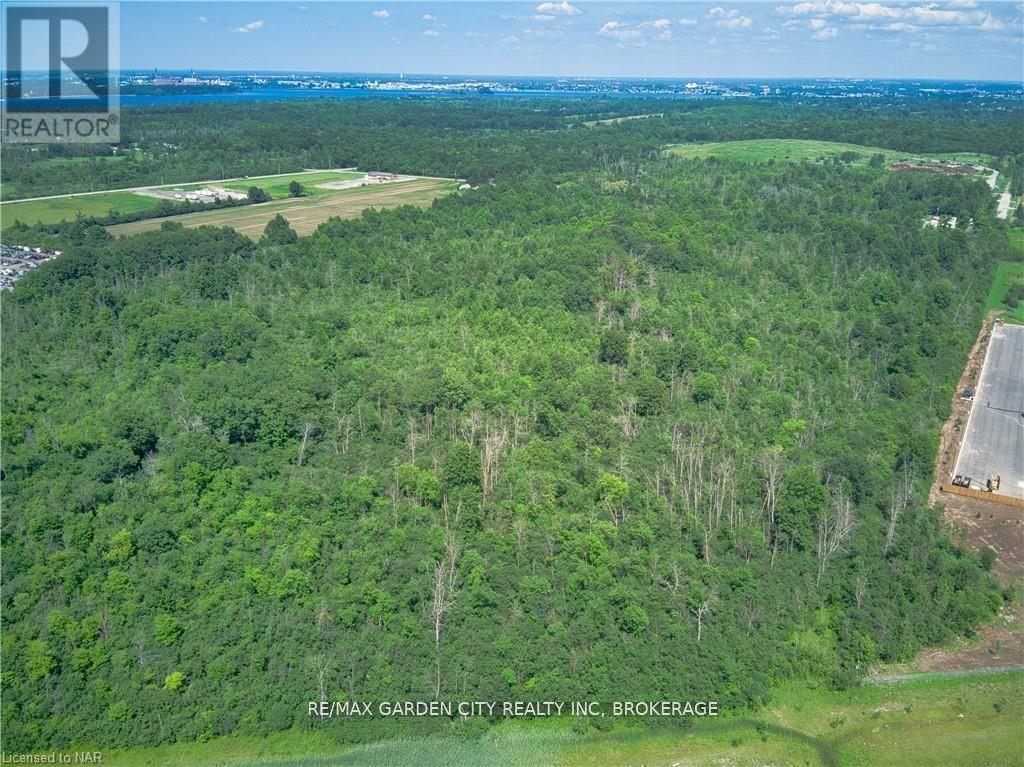 Pt Lt 7 Con 5 Pettit Pt1 Road, Fort Erie, Ontario  L2A 5M4 - Photo 3 - X12720428