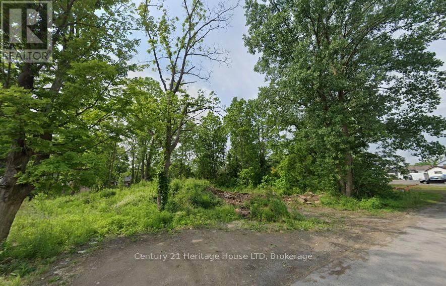 0 Hibbard Street, Fort Erie, Ontario  L0S 1N0 - Photo 2 - X12747788