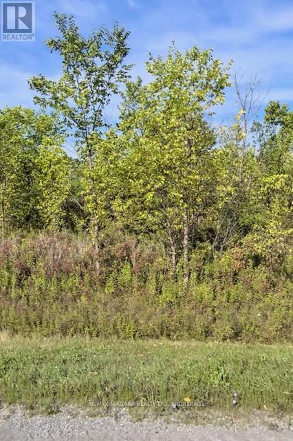 LOT 3 MONTROSE ROAD, Niagara Falls, Ontario