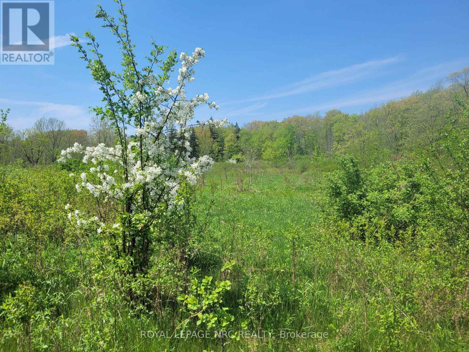 615 Burleigh Road N, Fort Erie, Ontario  L0S 1N0 - Photo 47 - X12842976