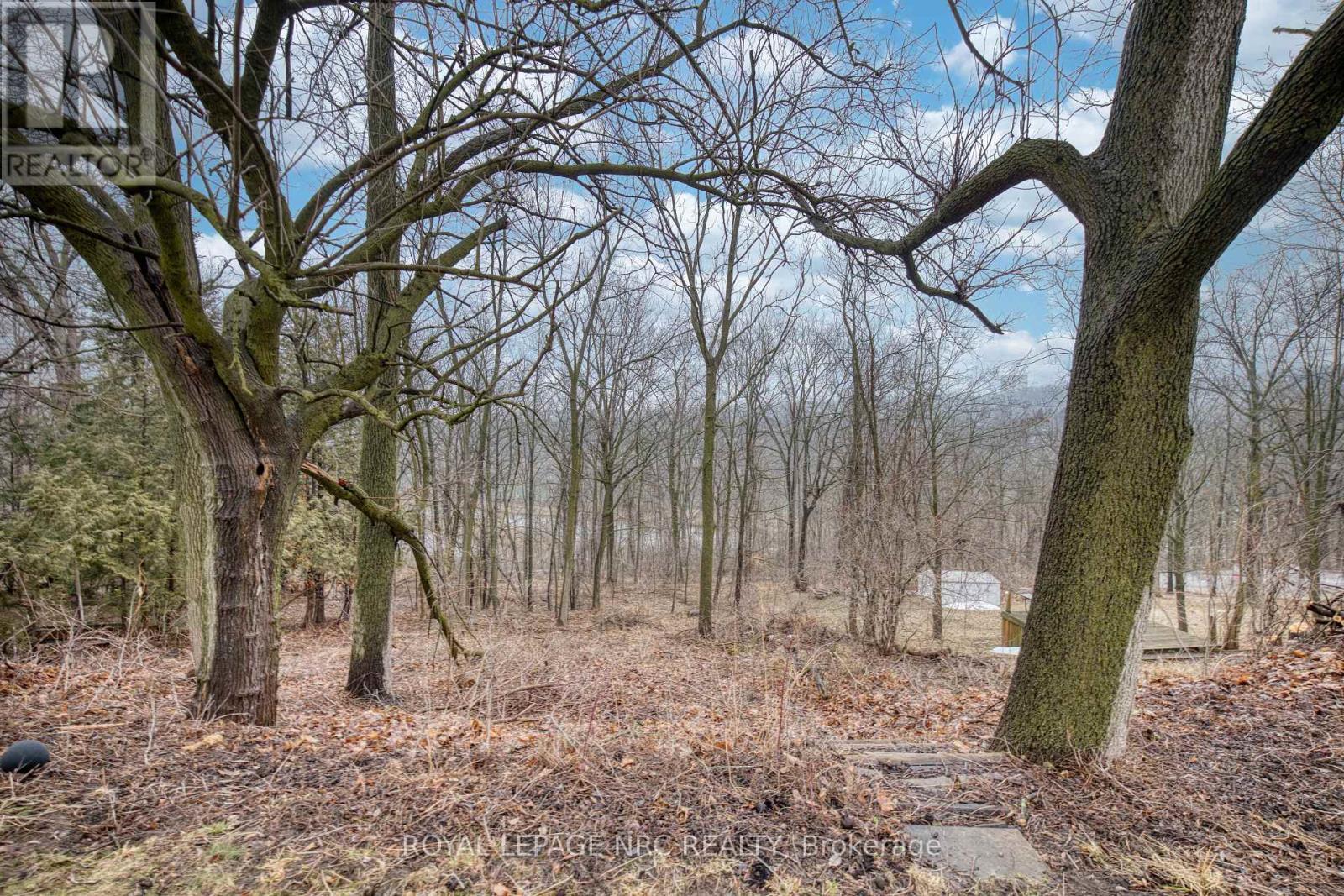 16 Rosemore Road, St. Catharines, Ontario  L2S 1A8 - Photo 33 - X12869642