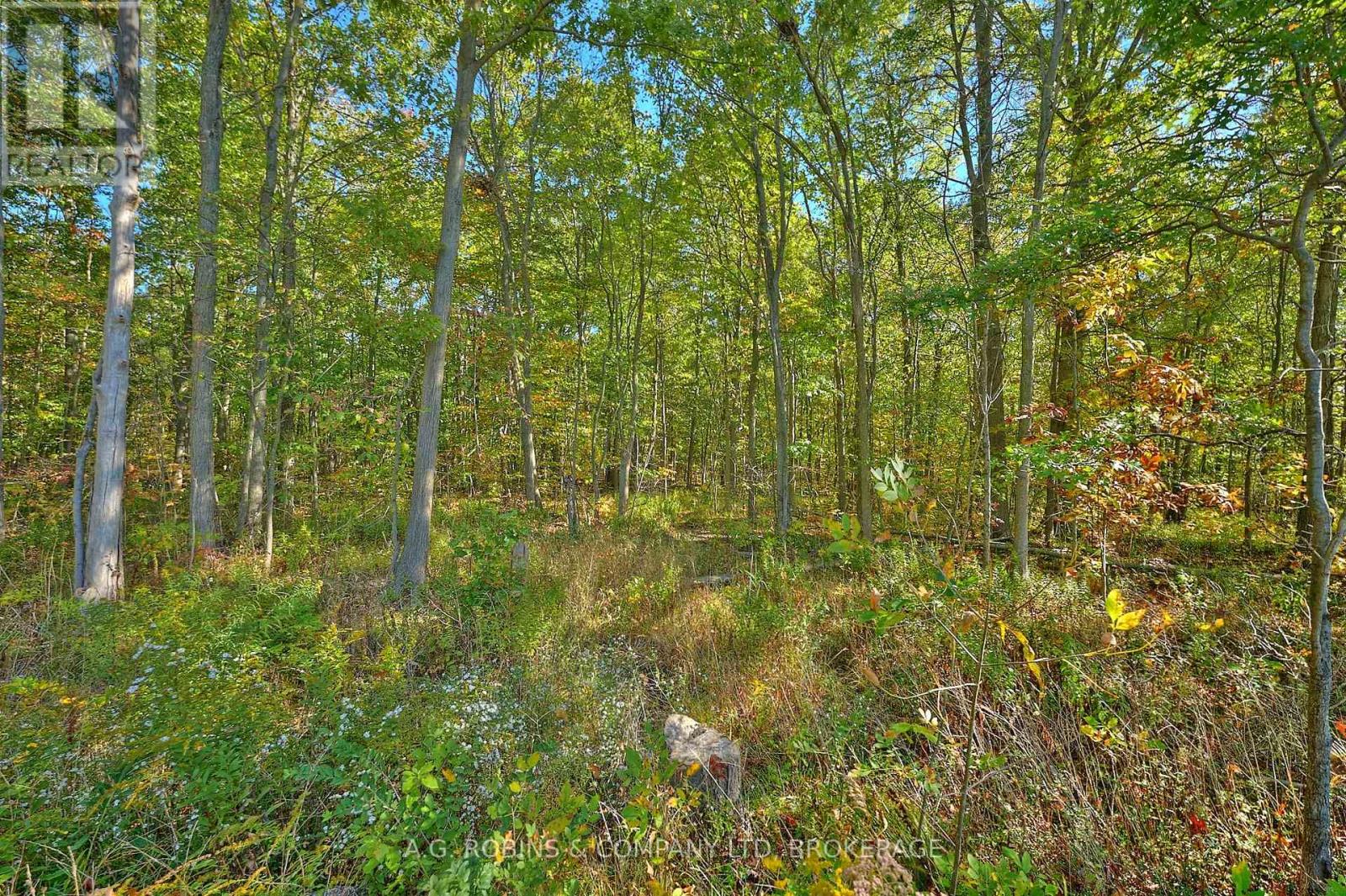 14440 Mckenney Road, Niagara Falls, Ontario  L3B 5N7 - Photo 8 - X12873848