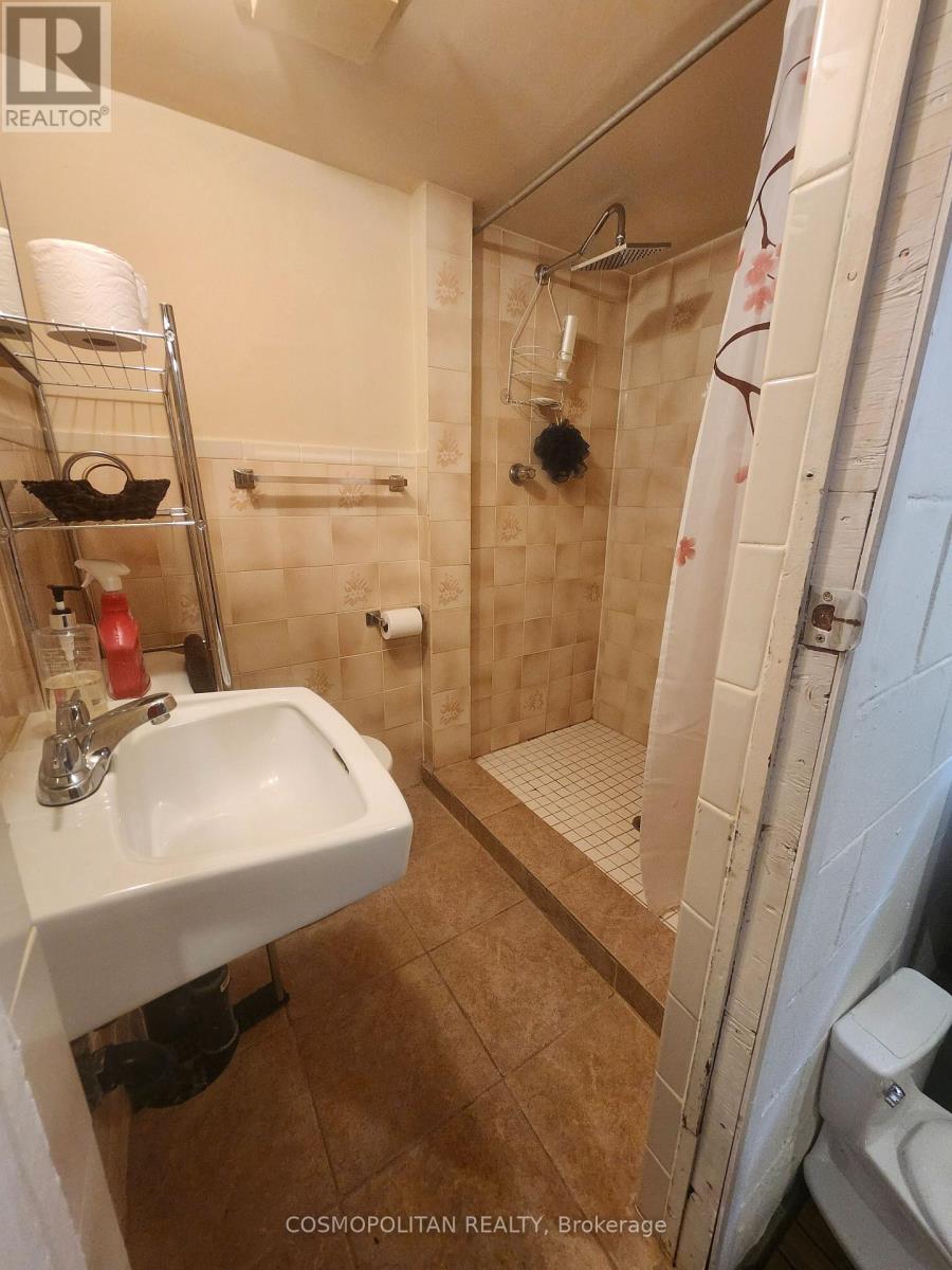 257 Grantham Avenue, St. Catharines, Ontario  L2M 4Z6 - Photo 22 - X12880888