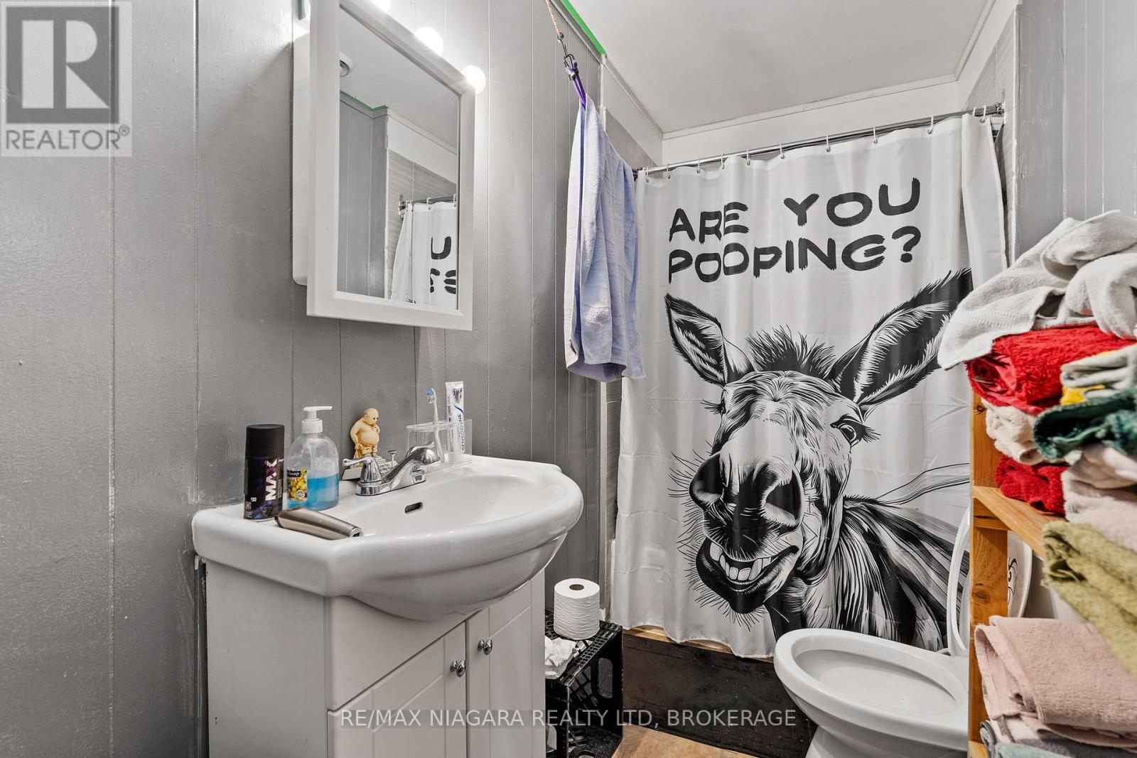 224 Mitchell Street, Port Colborne, Ontario  L3K 1Y3 - Photo 9 - X12887386