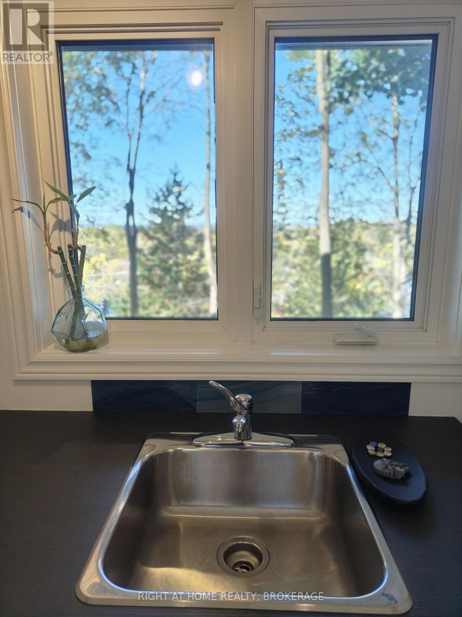 22 Ursula Avenue, St. Catharines, Ontario  L2T 1T1 - Photo 13 - X12900726