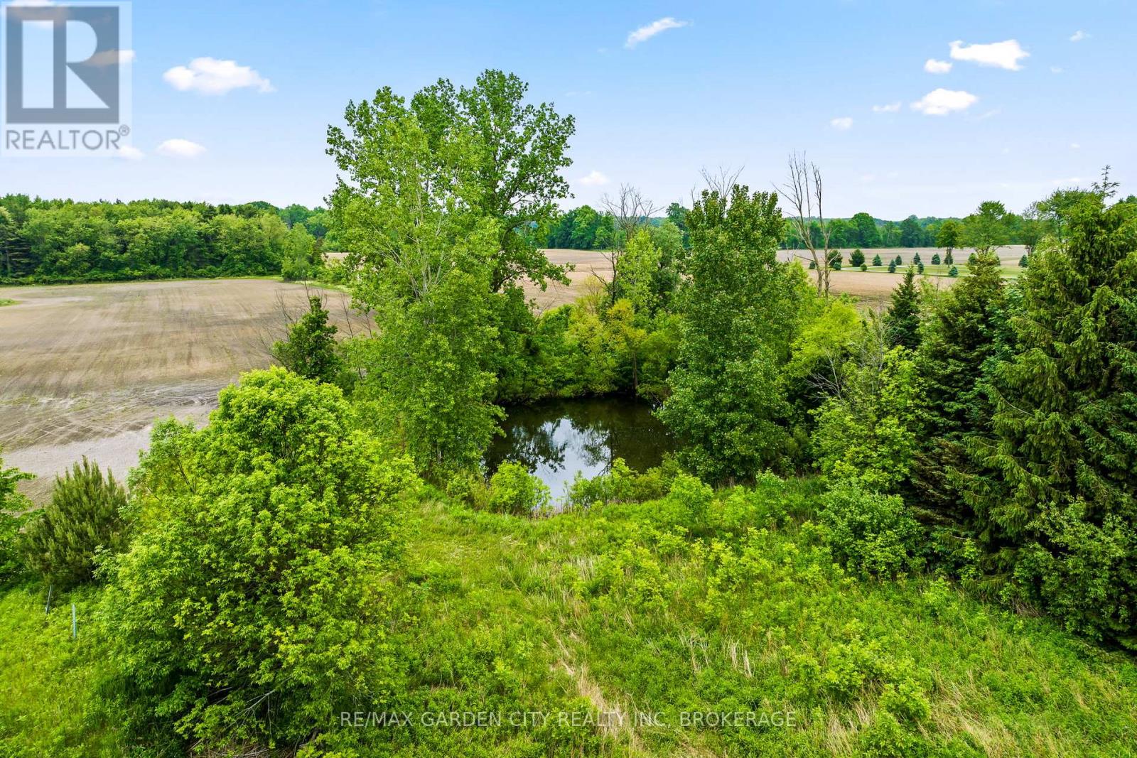 Greenhouse - 53825 Zion Road, Wainfleet, Ontario  L0S 1V0 - Photo 7 - X12933380