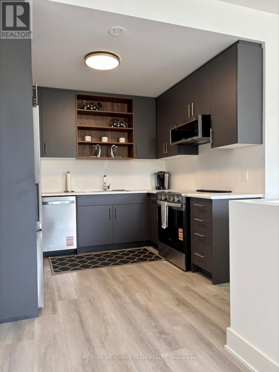66 Everett Common, St. Catharines, Ontario  L2P 0H1 - Photo 3 - X13081796