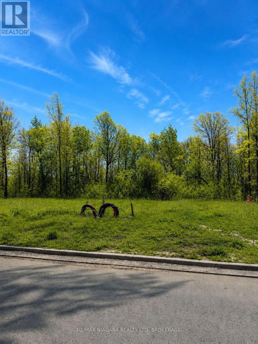 150 Hodgkins Avenue, Thorold, Ontario  L2V 1M1 - Photo 2 - X13172152