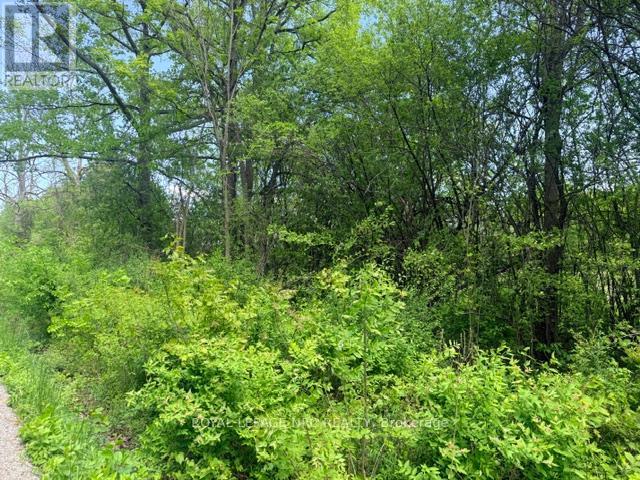 V/l Centralia Avenue N, Fort Erie, Ontario  L0S 1N0 - Photo 2 - X13210404