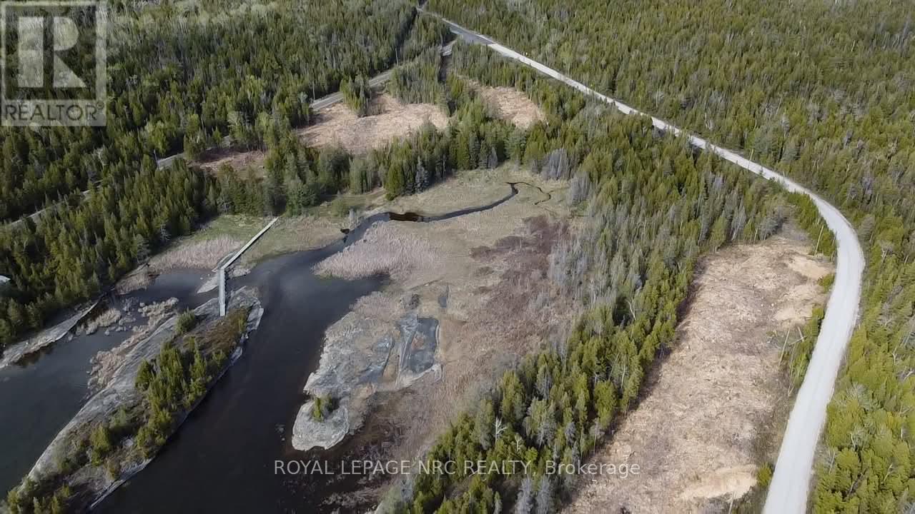 25 Simpson Lot 3 Avenue, Northern Bruce Peninsula, Ontario  N0H 2R0 - Photo 2 - X13228790