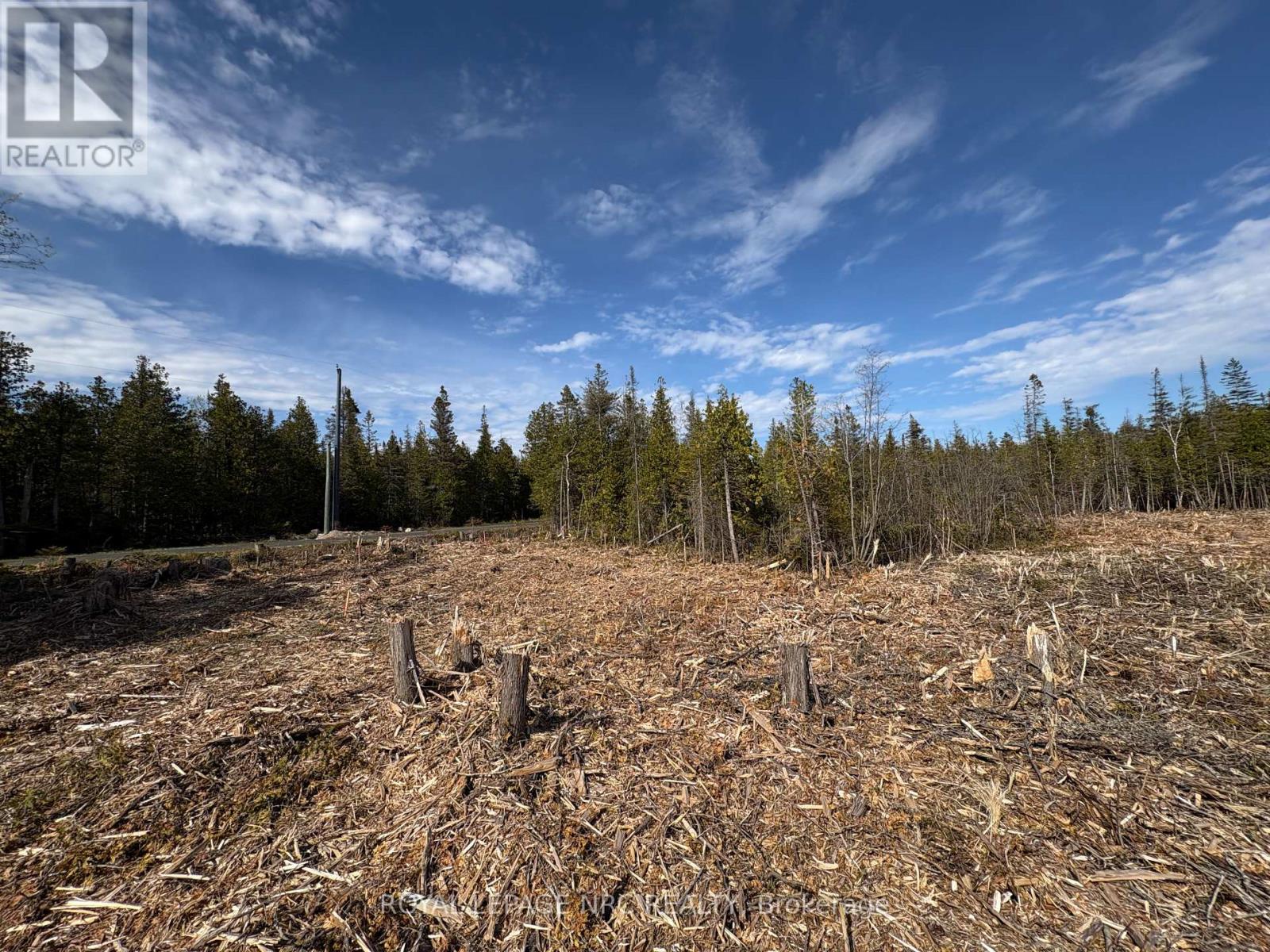 25 Simpson Lot 3 Avenue, Northern Bruce Peninsula, Ontario  N0H 2R0 - Photo 5 - X13228790