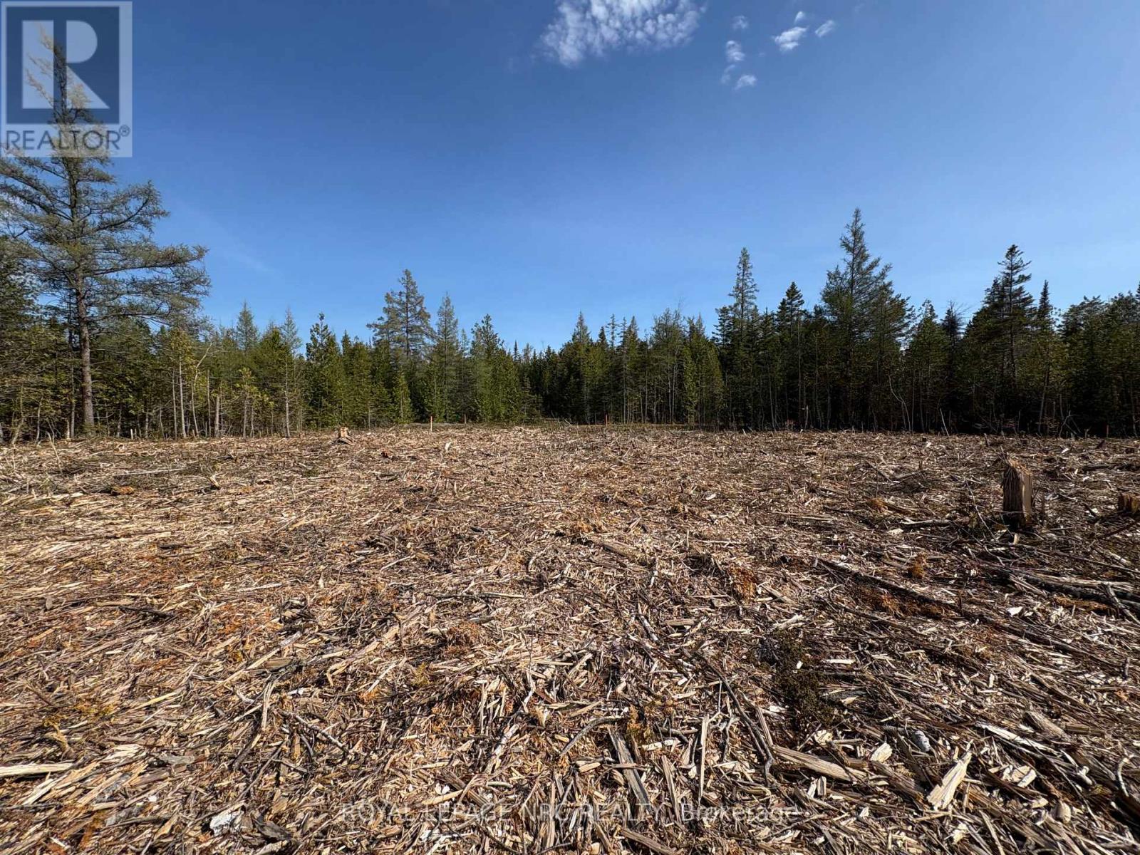 25 Simpson Lot 4 Avenue, Northern Bruce Peninsula, Ontario  N0H 2R0 - Photo 7 - X13228798
