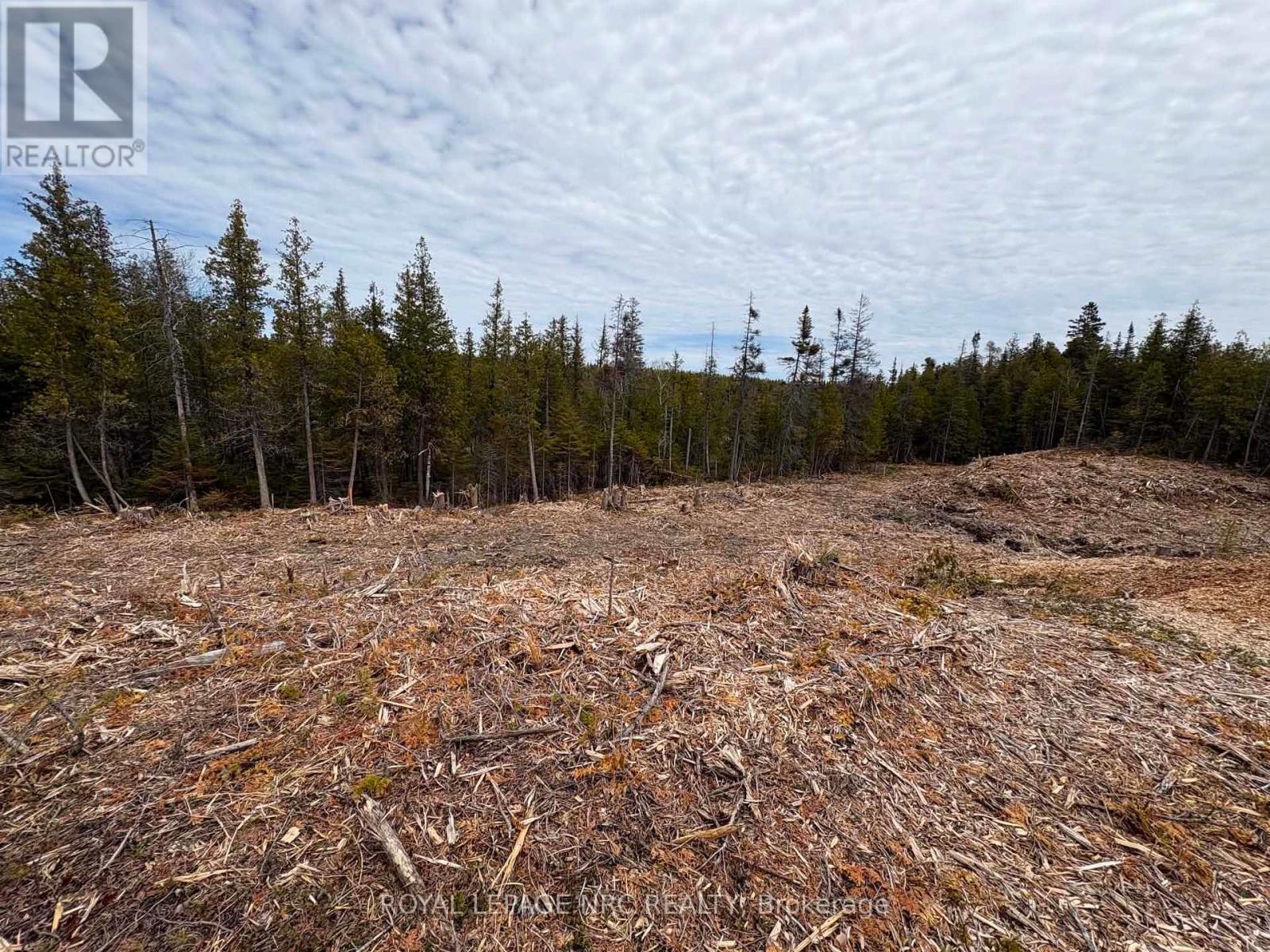 25 Simpson Lot 6 Avenue, Northern Bruce Peninsula, Ontario  N0H 2R0 - Photo 4 - X13228802