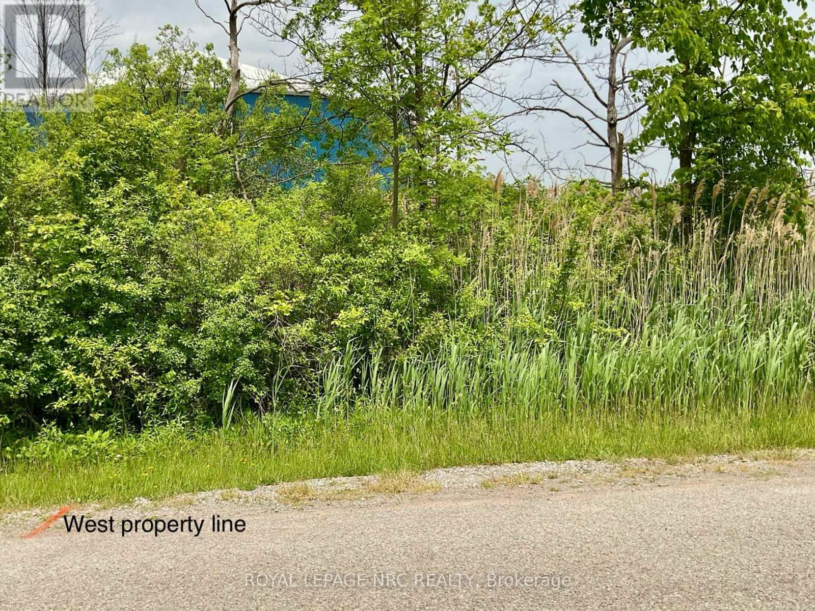 26 Shaw Street, Welland, Ontario  L3B 5W8 - Photo 4 - X13417418